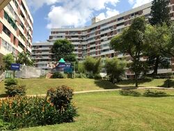 The Parc Condominium (D5), Condominium #497363901